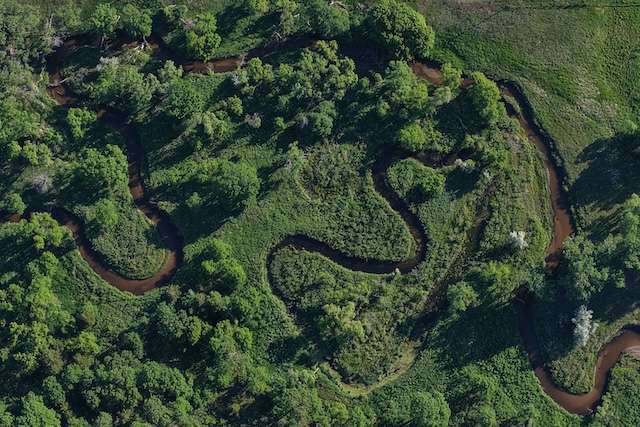 winding creek.jpg